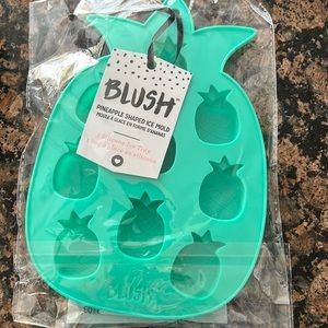 Blush pineapple shaped iced mold